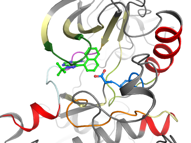 The orthosteric binding pocket