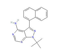 2D structure of the orthosteric ligand
