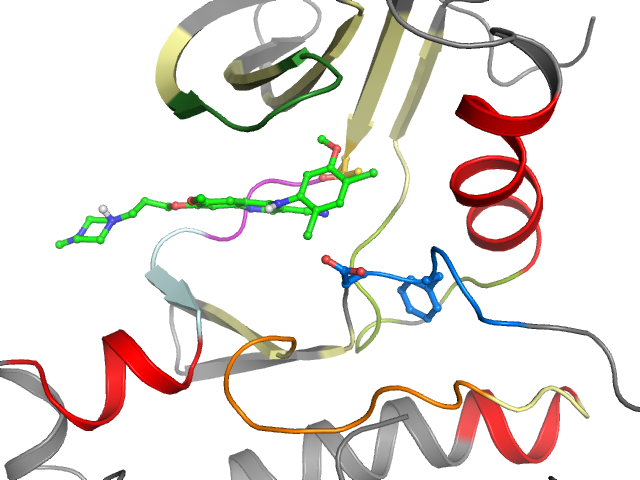 The orthosteric binding pocket