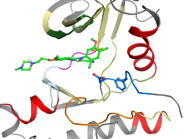 The orthosteric binding pocket