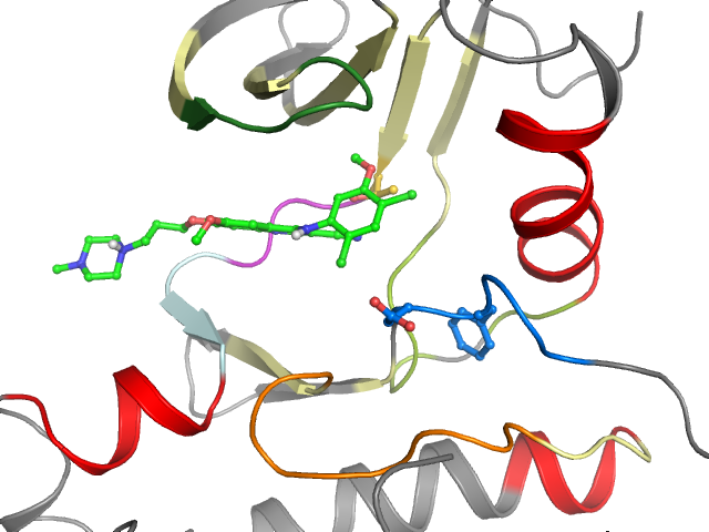 The orthosteric binding pocket
