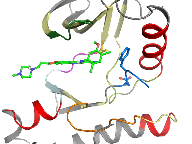 The orthosteric binding pocket