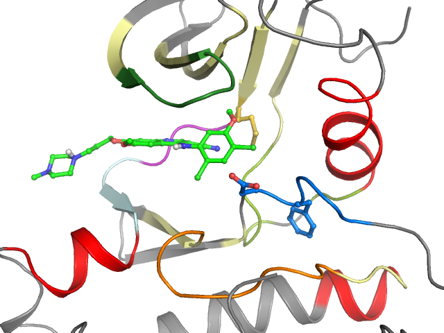 The orthosteric binding pocket