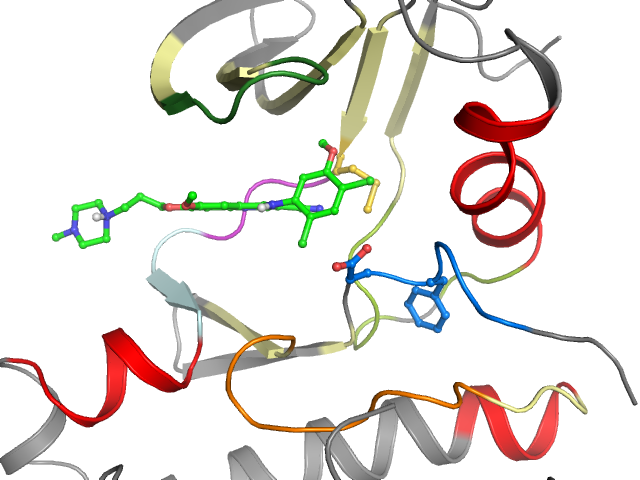 The orthosteric binding pocket