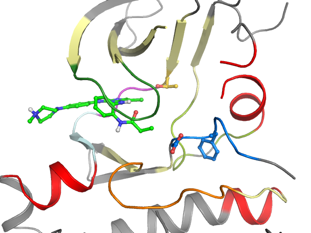 The orthosteric binding pocket