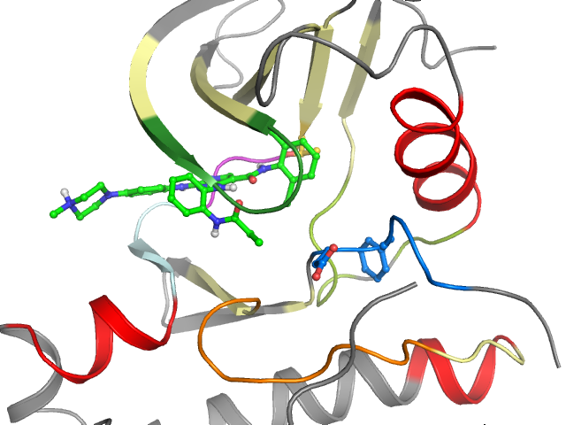 The orthosteric binding pocket