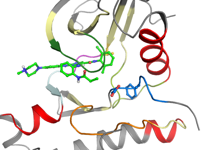 The orthosteric binding pocket