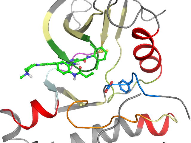The orthosteric binding pocket