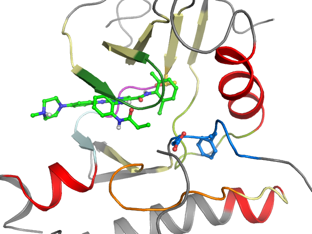 The orthosteric binding pocket
