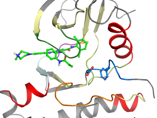 The orthosteric binding pocket