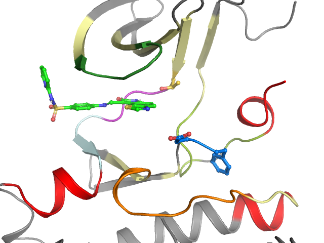 The orthosteric binding pocket