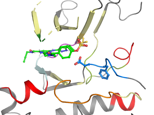 The orthosteric binding pocket