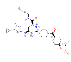 2D structure of the orthosteric ligand