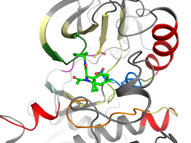 The orthosteric binding pocket