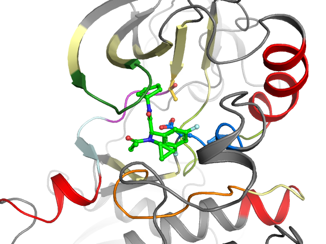 The orthosteric binding pocket
