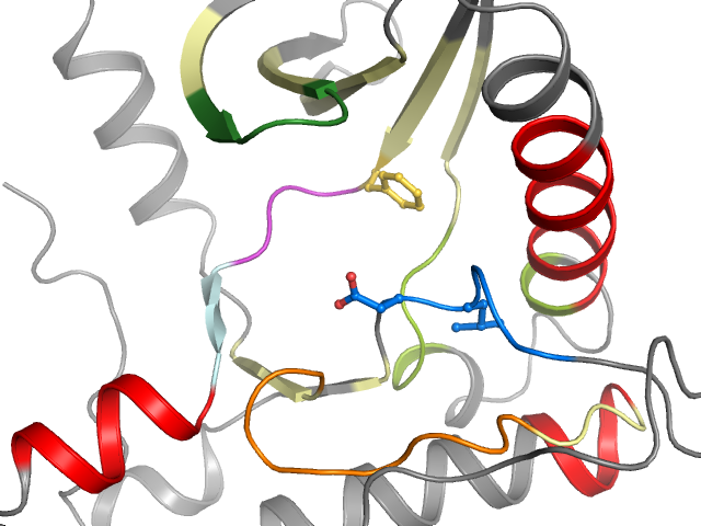 The orthosteric binding pocket