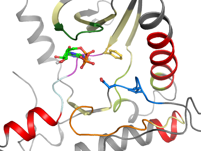 The orthosteric binding pocket