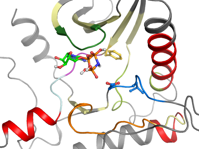 The orthosteric binding pocket