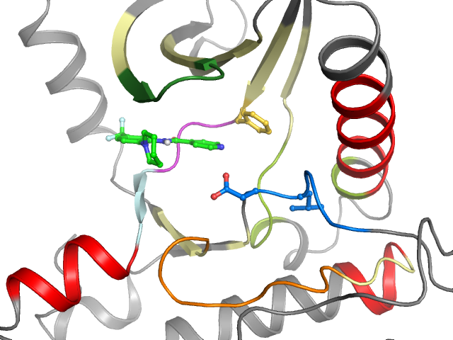 The orthosteric binding pocket