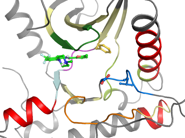 The orthosteric binding pocket