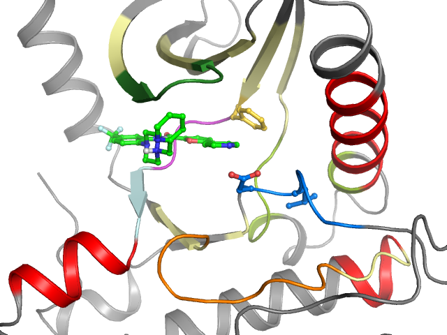 The orthosteric binding pocket