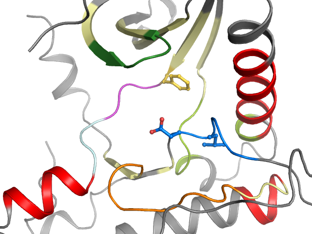 The orthosteric binding pocket