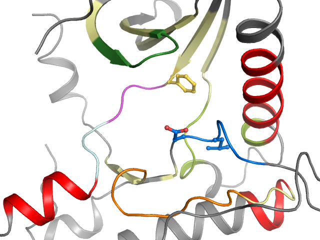 The orthosteric binding pocket