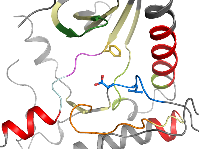 The orthosteric binding pocket