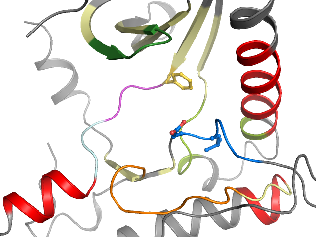 The orthosteric binding pocket