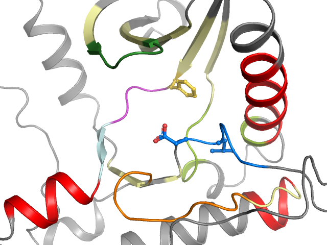 The orthosteric binding pocket