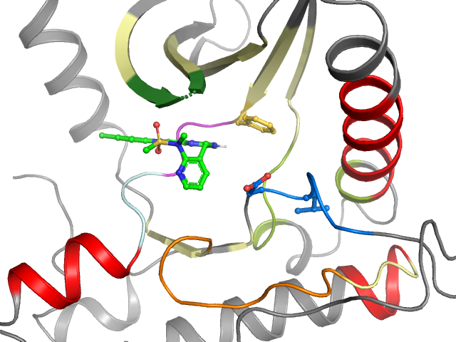 The orthosteric binding pocket