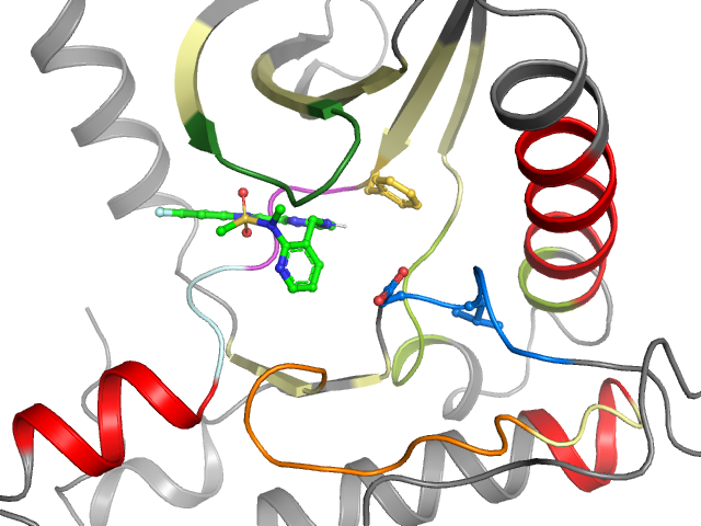 The orthosteric binding pocket