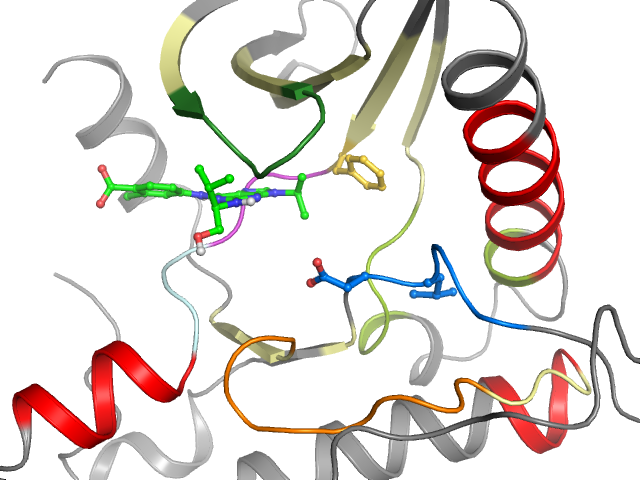 The orthosteric binding pocket