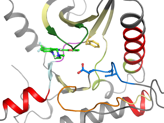 The orthosteric binding pocket