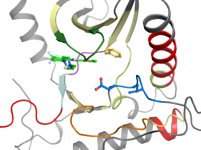 The orthosteric binding pocket
