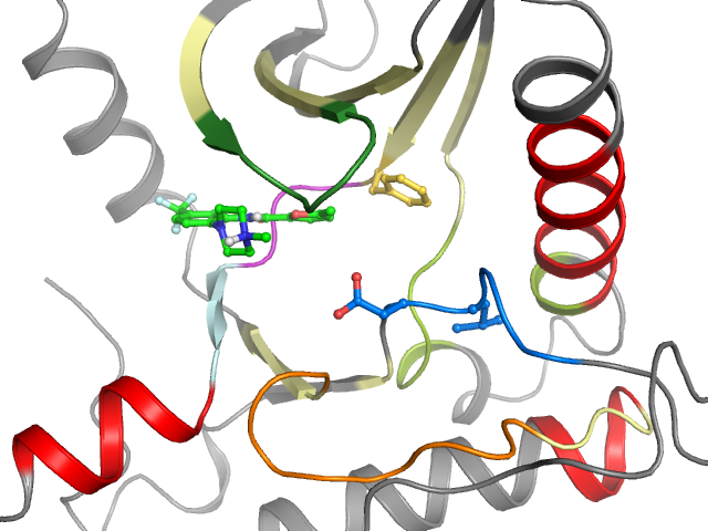 The orthosteric binding pocket