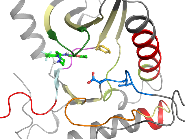 The orthosteric binding pocket