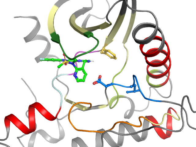The orthosteric binding pocket