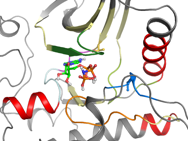 The orthosteric binding pocket