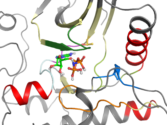 The orthosteric binding pocket