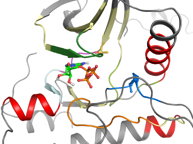 The orthosteric binding pocket