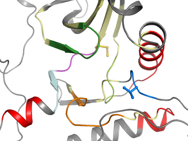 The orthosteric binding pocket