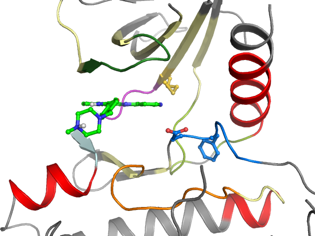 The orthosteric binding pocket