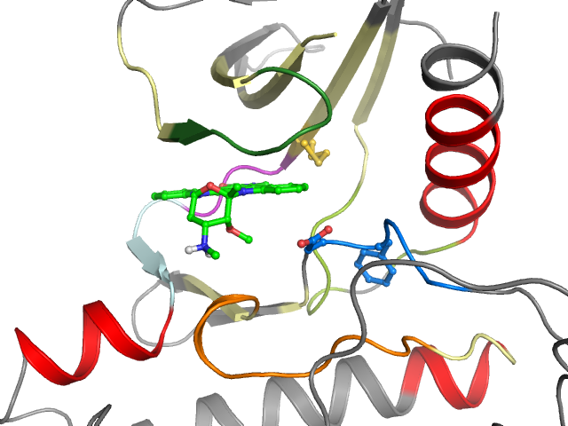 The orthosteric binding pocket