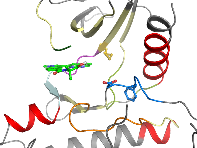 The orthosteric binding pocket