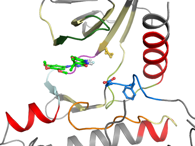 The orthosteric binding pocket