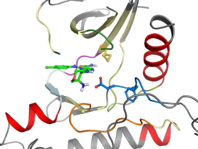 The orthosteric binding pocket