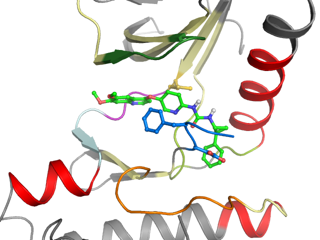 The orthosteric binding pocket