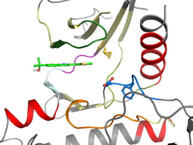 The orthosteric binding pocket