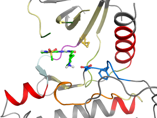 The orthosteric binding pocket